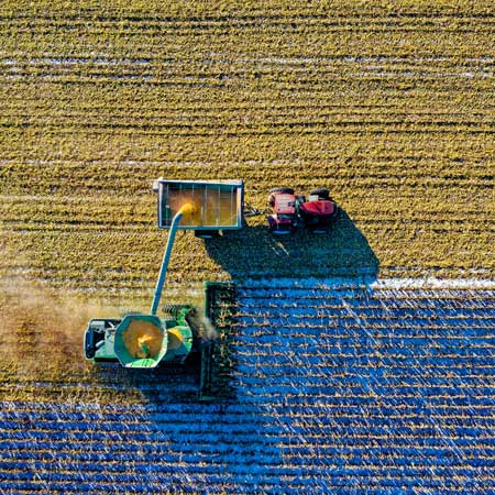 Landwirtschaft - Ernte mit Traktor