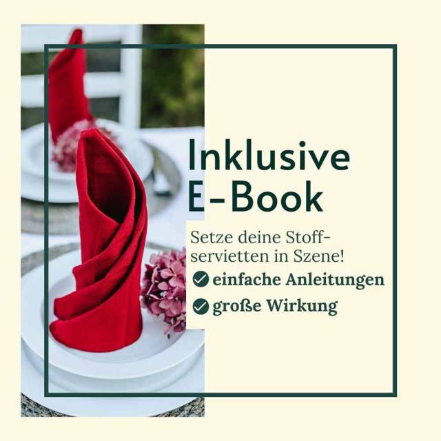 Inklusive E-Book