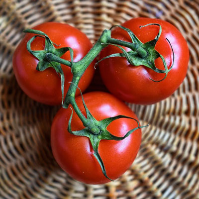 Tomaten